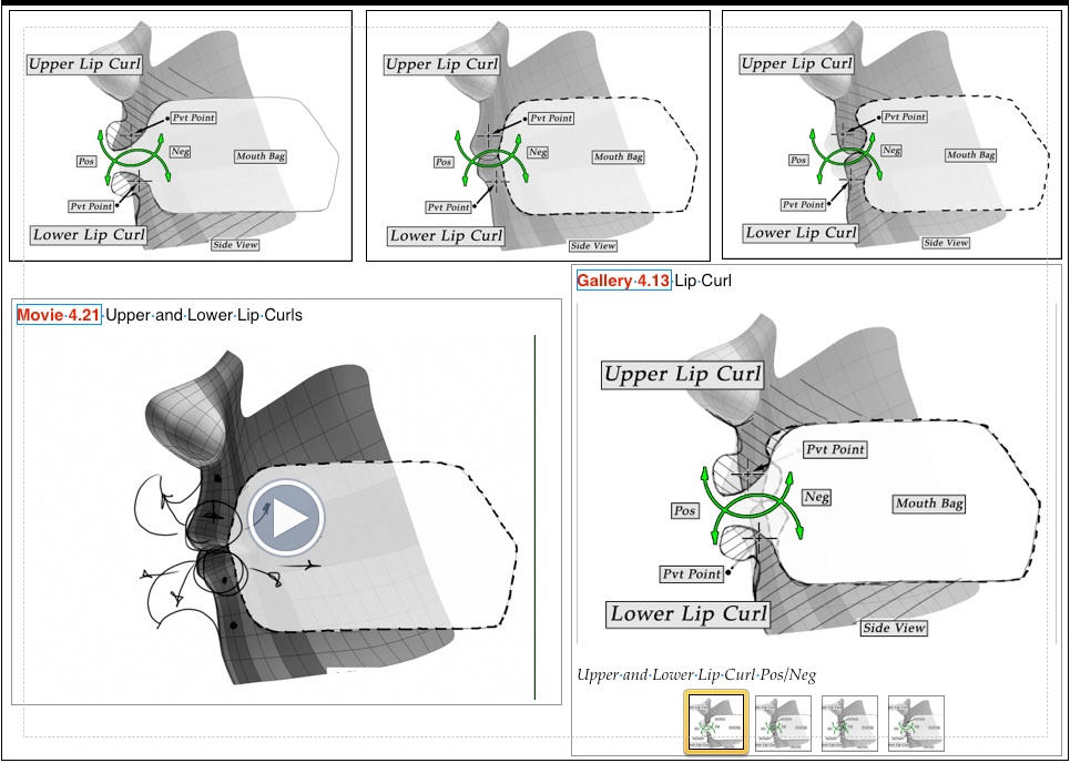 Lip curl diagrams — sample page from The Art of Moving Points
